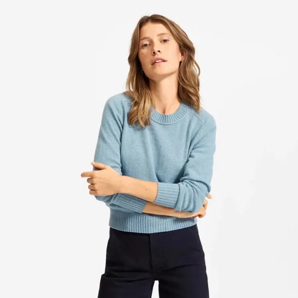Everlane cashmere crew
